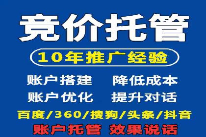 SEM推广策略如何制定——以某电商平台的成功案例为例